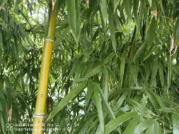 穆雷打入12粒点球赛后发声(穆雷打入12粒点球赛后发声了吗)|FG捕鱼官网
